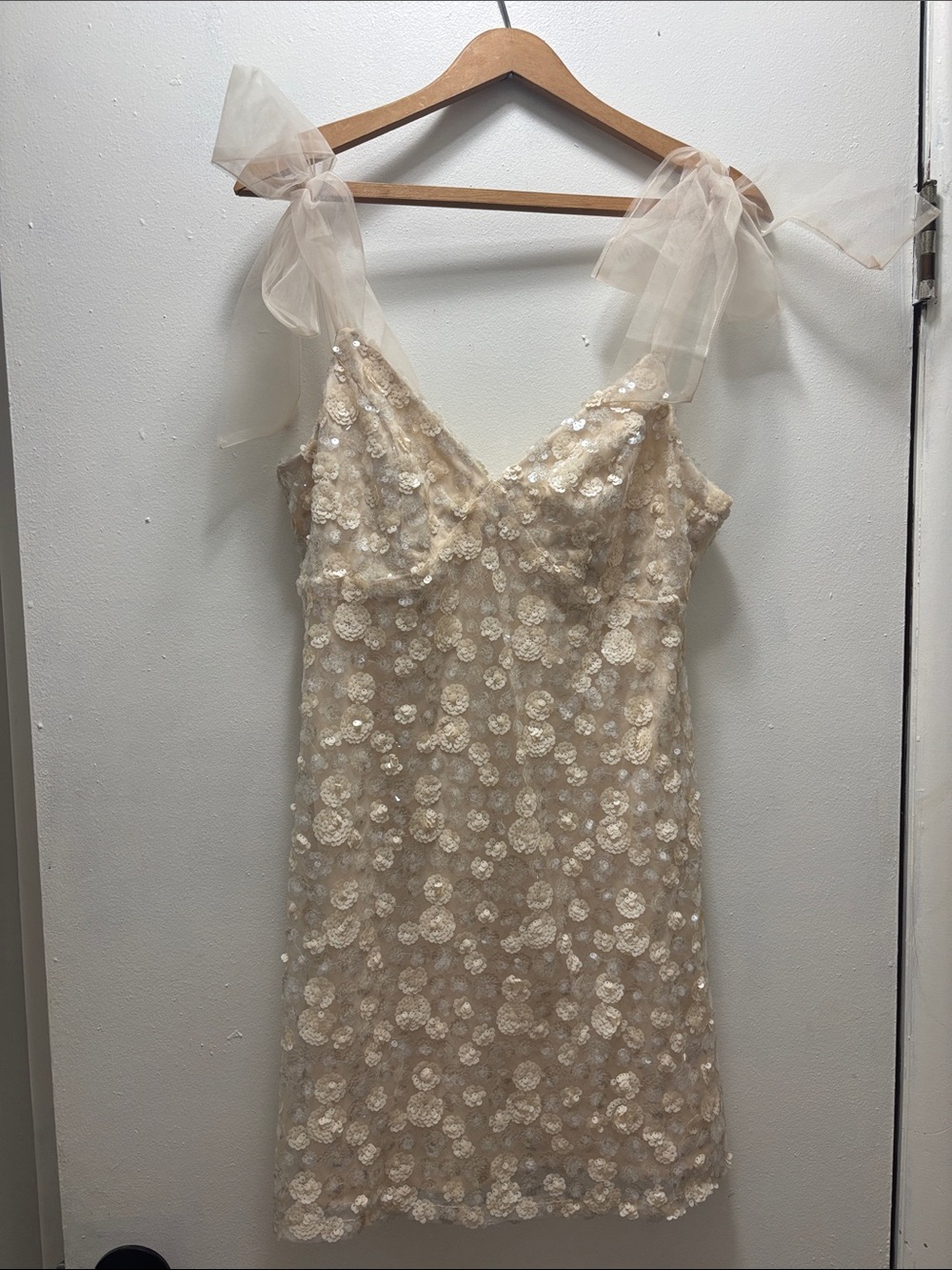 Francesca's Collections Sand Sequin Floral Mini Dress